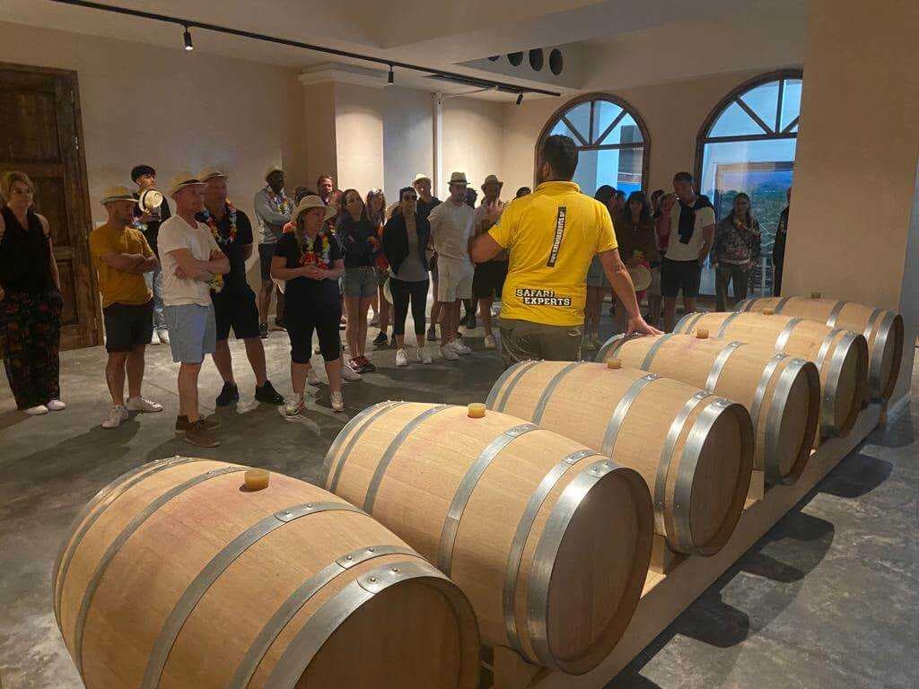 Safari Experts: Wine tour, mountain & sea