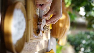 discover crete