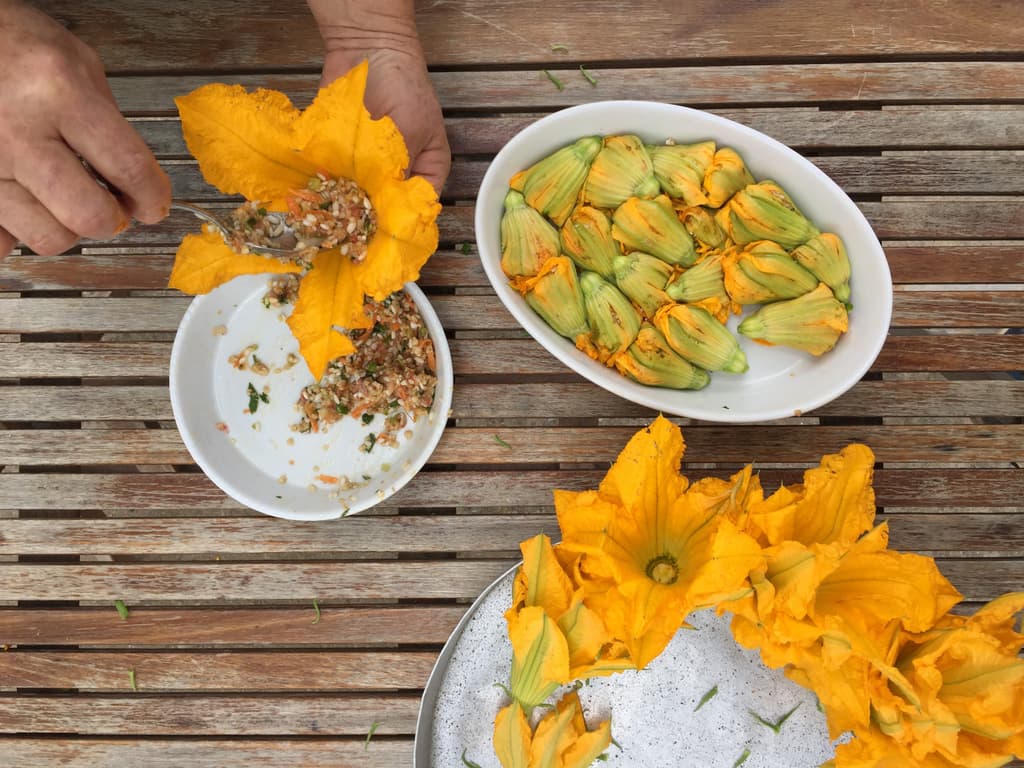 Stuffed Courgette Flowers