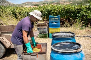 discover crete