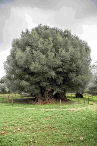 discover crete