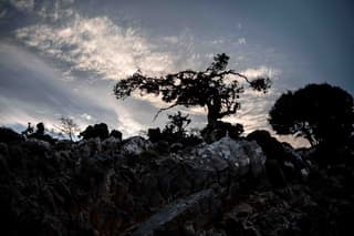 discover crete