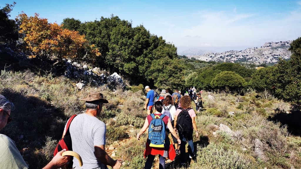 Excursion to Kourtsa, Chonos – Drakofolia – Oak Forest