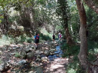 discover crete