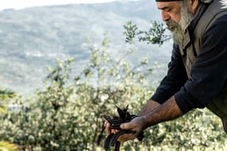 discover crete