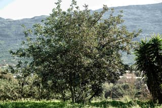 discover crete