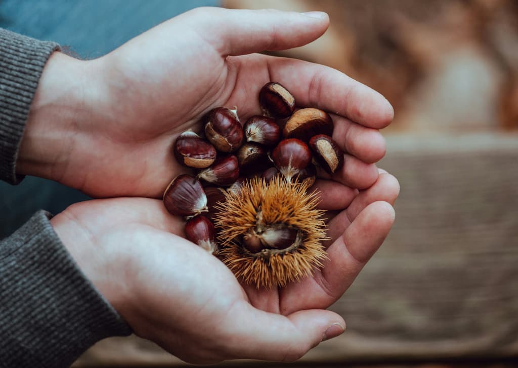 Chestnut Festival: Three Days of Autumn Magic in Kissamos