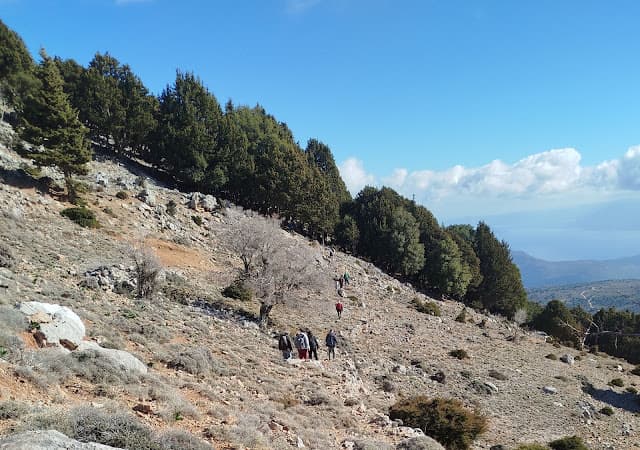 On the Minoan Trails of Kritsa and Katharo