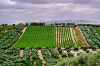 discover crete