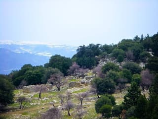 discover crete