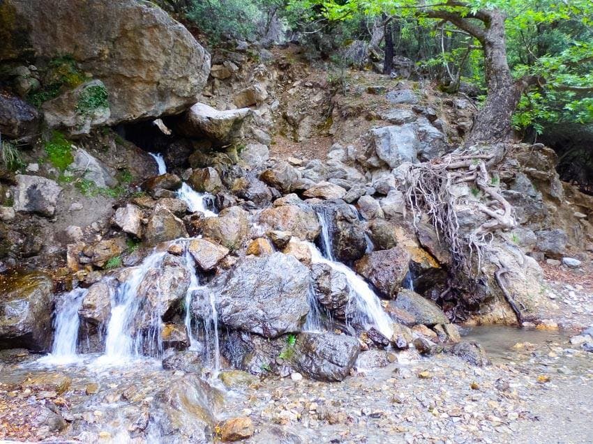Σε Κάτω Σύμη – Λάπαθο – Καρύδι – Μύθοι ο ΕΟΣ Ηρακλείου