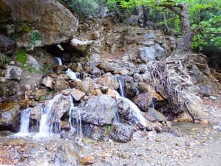 discover crete