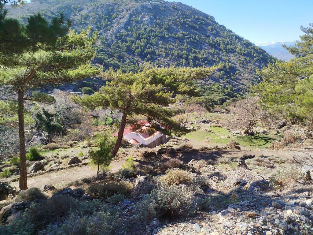 Hiking in the Thripti Forest