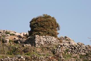 discover crete