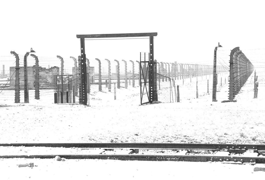 Shadows of the Past: The Story of Auschwitz Through Light and Silence