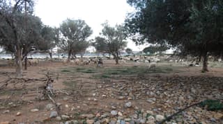 discover crete