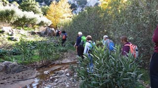 discover crete