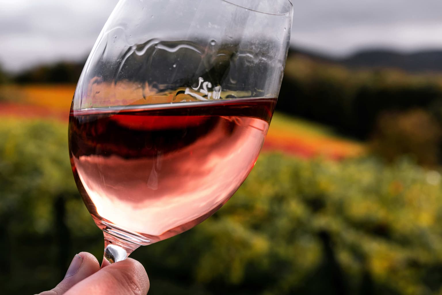 5 Wineries for Wine Tasting in Rethymno