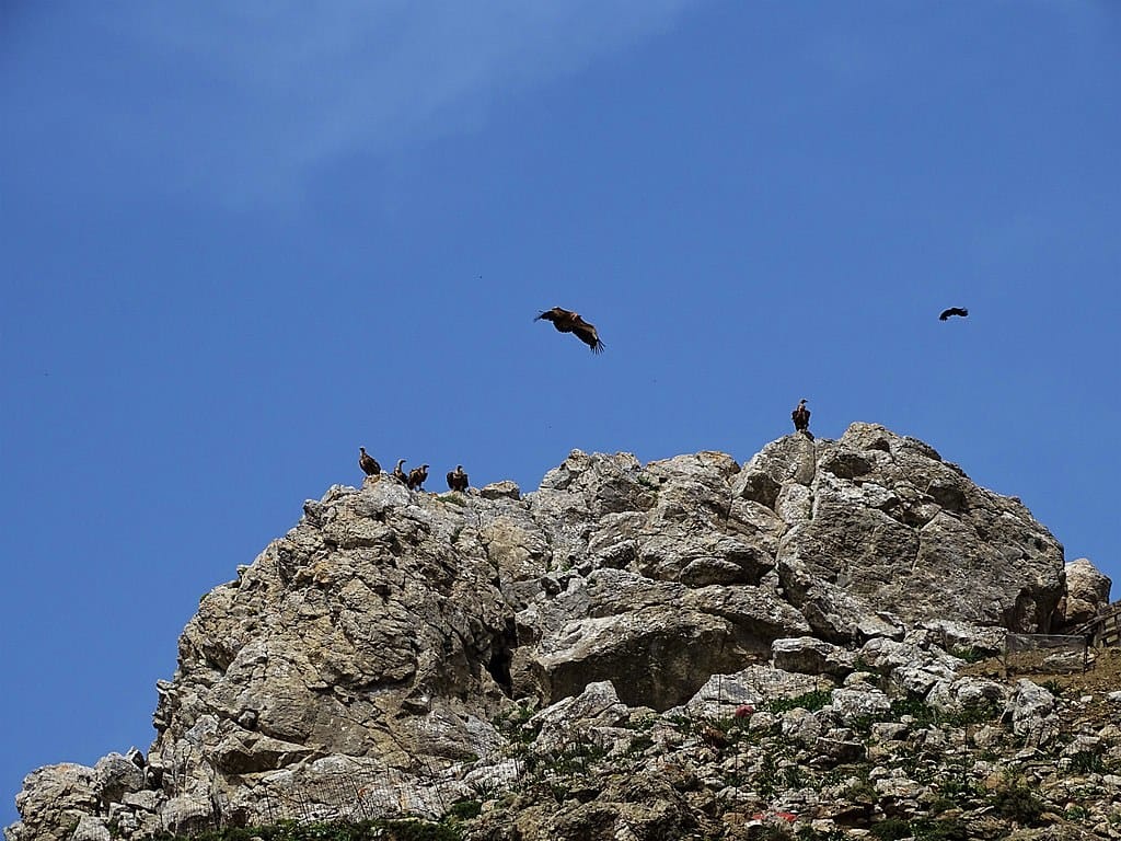 Kolovrechtis Beach: Embrace the Adventure of the Winding Turns!