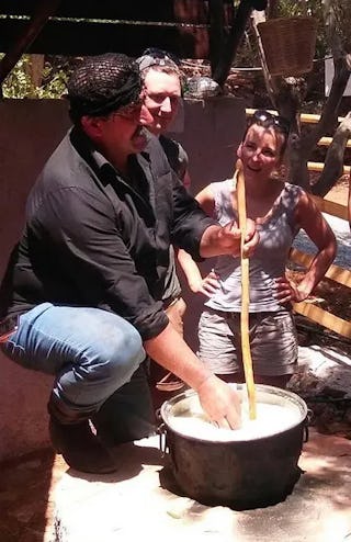 Hands-on Cheese-Making Experience
