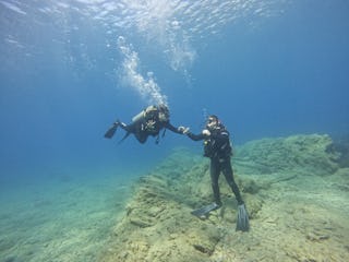 Horizon Diving: Introduction to Diving