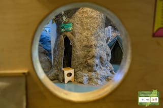 Χριστούγεννα στο Μουσείο Φυσικής Ιστορίας Κρήτης