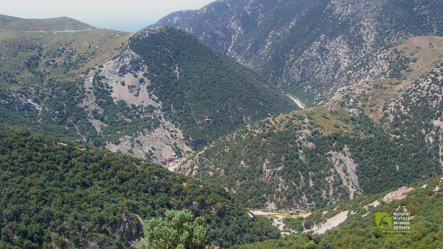 Anapodari Gorge