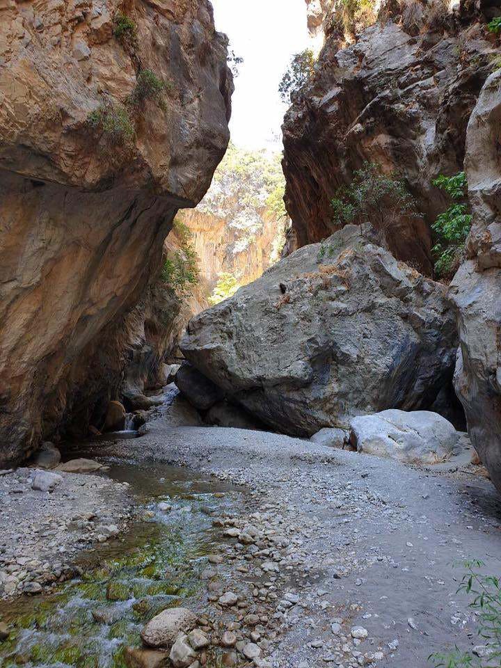 Experience Hiking in Aradena Gorge with Alpine Travel