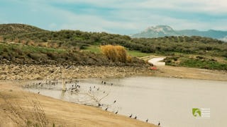 Armanogia Dam: A Haven for Migratory Birds