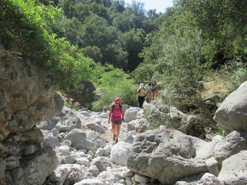 Traversing the Enchanting Kritsa Gorge: A Journey through Nature and History