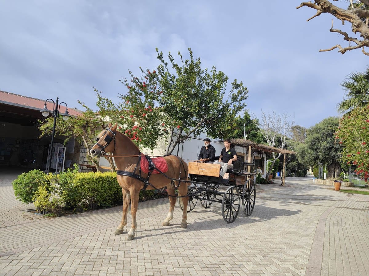 QUIZ: Ποια εμπειρία του Amnisiades Park σου ταιριάζει περισσότερο;