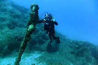 Aquadive: Scuba Diving Adventures for All