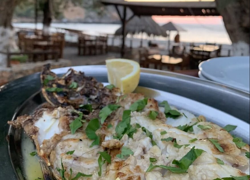 Captain Fidias: Fresh Fish from a True Seafarer in Sfinari, Chania