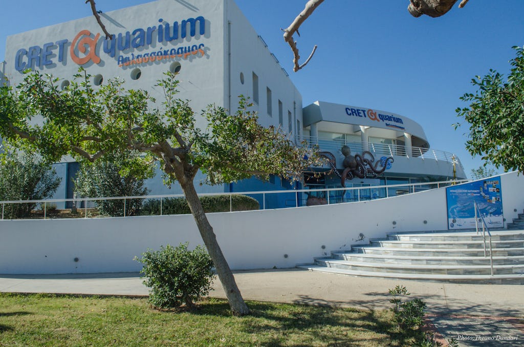 Explore the Largest Aquarium in Greece