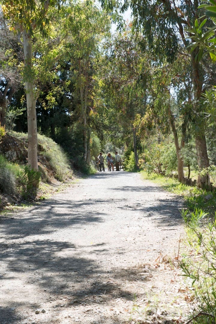 Exploring Creta: Ποδηλατικά Μονοπάτια της Σαρακίνας