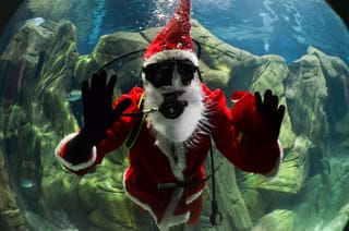 Το 2025 μην κοιτάξετε μόνο την καμινάδα!