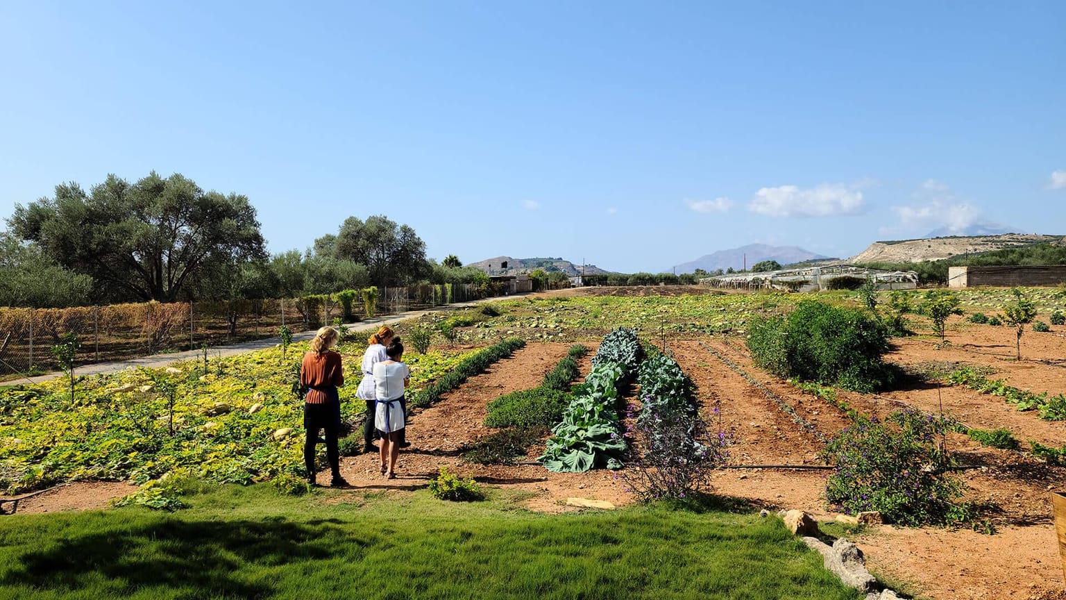 Cretan Vibes: Cooking Class and Food Tour: A Culinary Adventure in Moires!