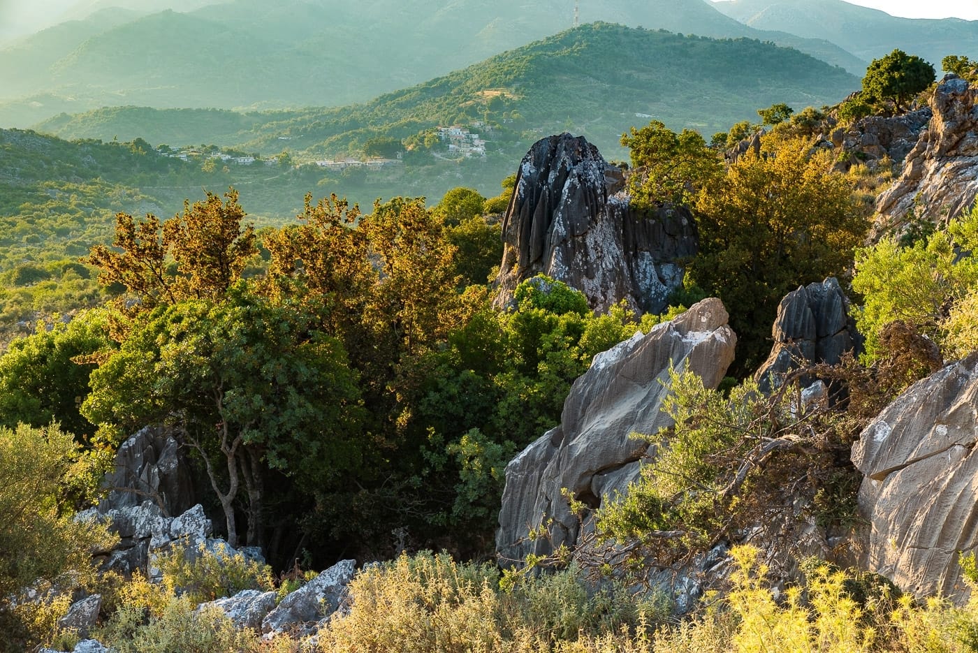 The Natural Sculptures in Chonos