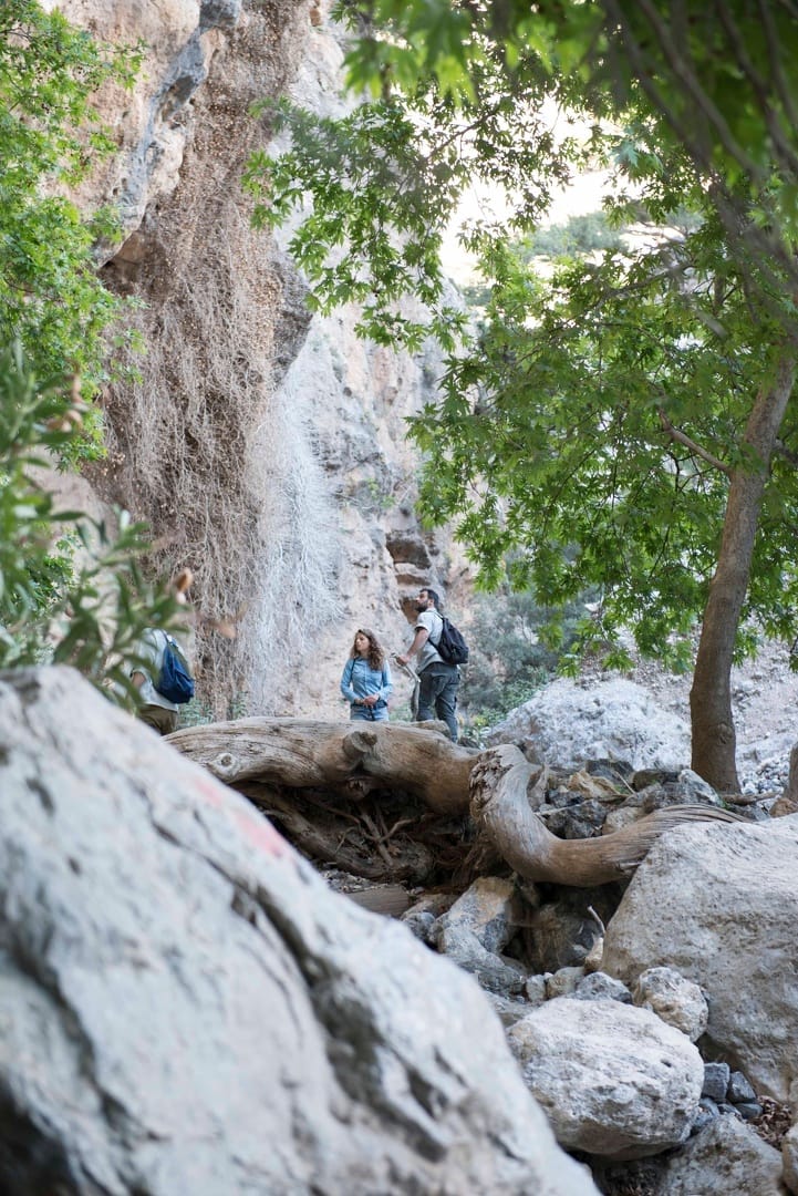 Exploring Creta: Πεζοπορία στο Φαράγγι της Μέσκλας