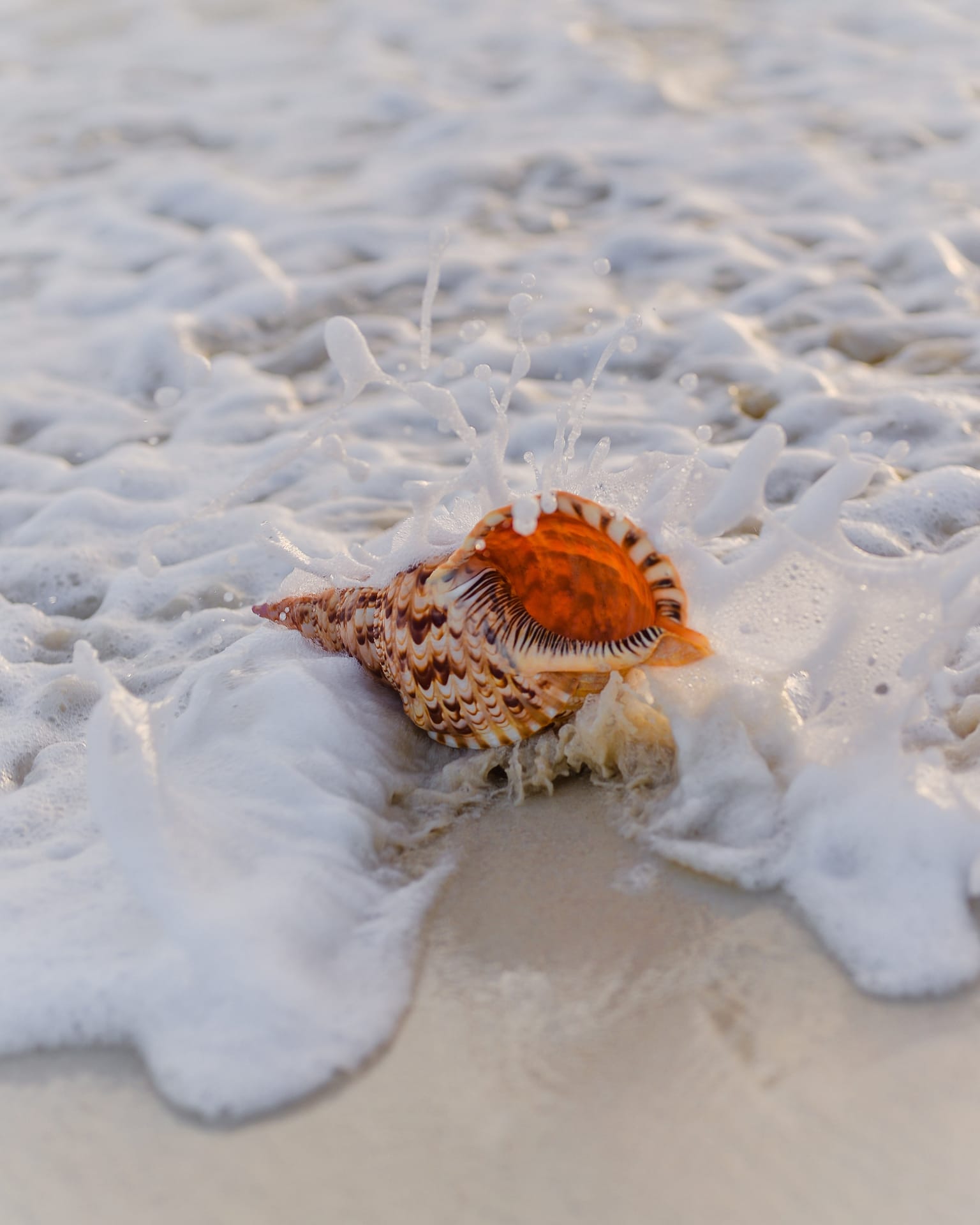 Keras Beach: An Ideal Retreat for Seclusion