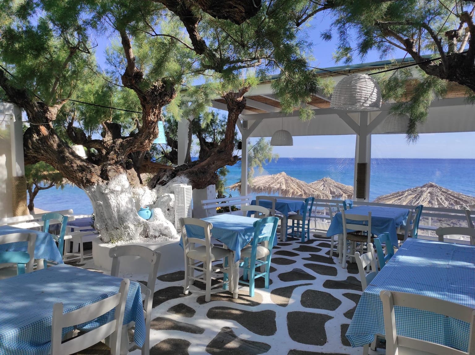 Kalliotzina: Fresh Fish and Seafood in Koutsouras!