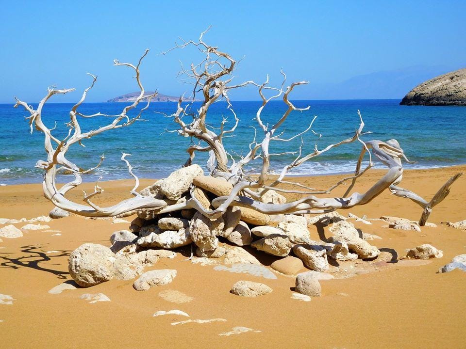 Λαύρακας: Μία ήρεμη δύναμη της Γαύδου