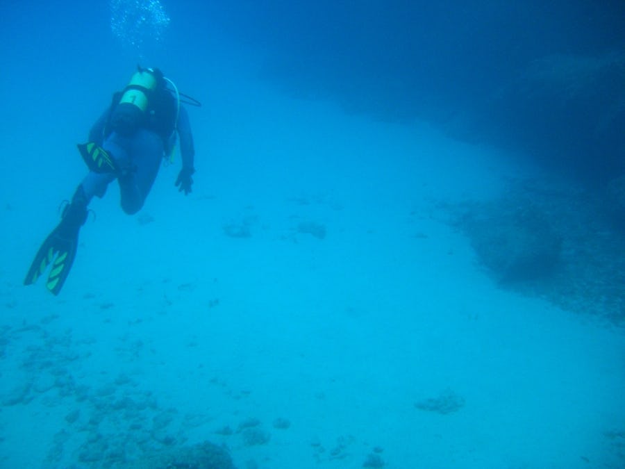 Omega Divers: Κατάδυση σε υποβρύχιο τοίχο