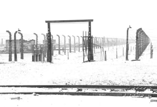 Shadows of the Past: The Story of Auschwitz Through Light and Silence