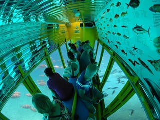 Semi-Submarine: The Dry Underwater Experience