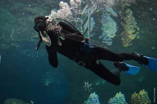 Θεοφάνεια στο Ενυδρείο Κρήτης