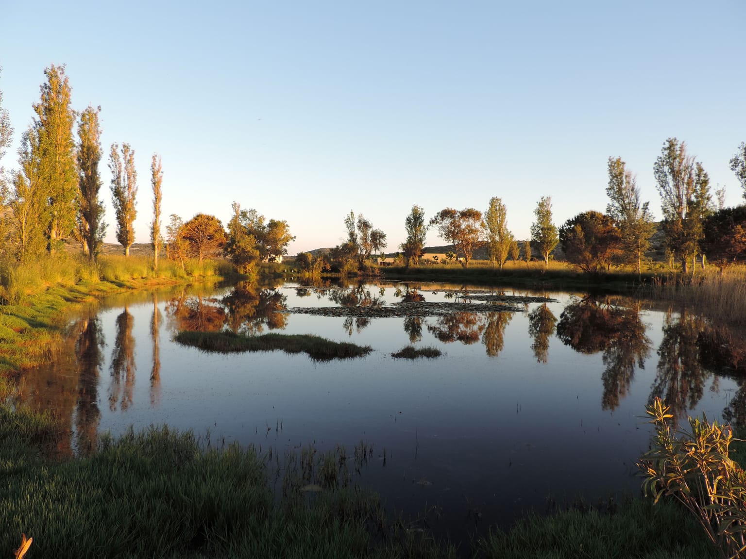 Ziros Wetland