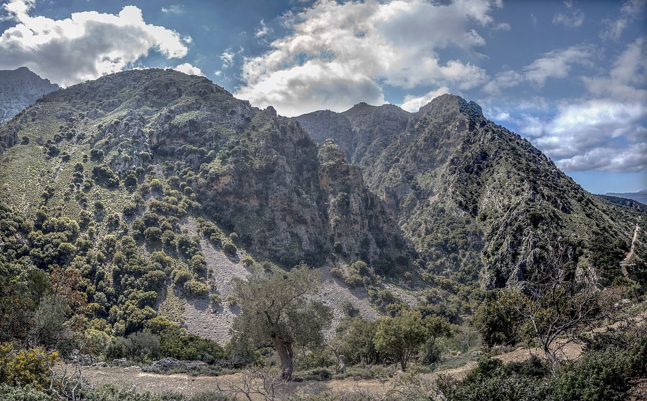 discover crete