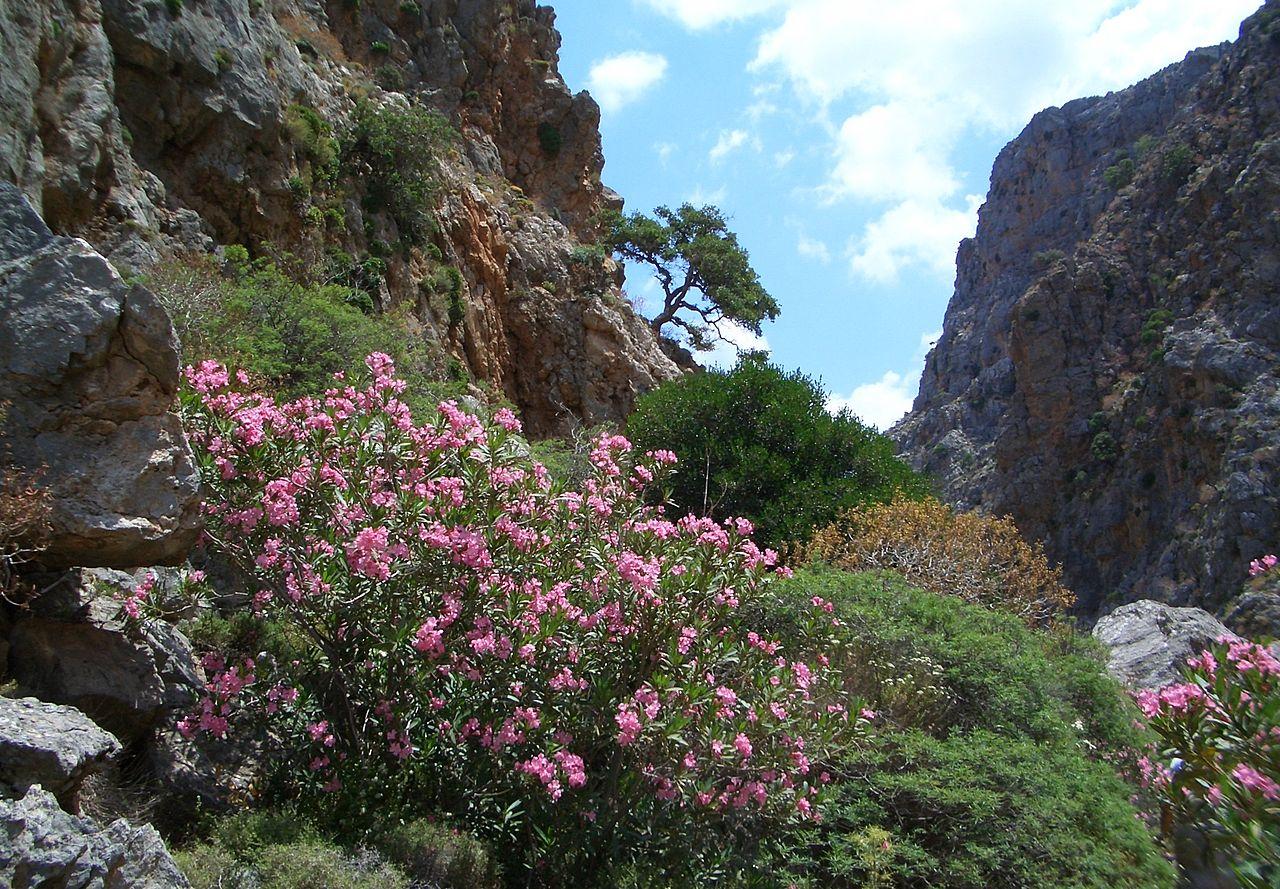 Sitia Geopark