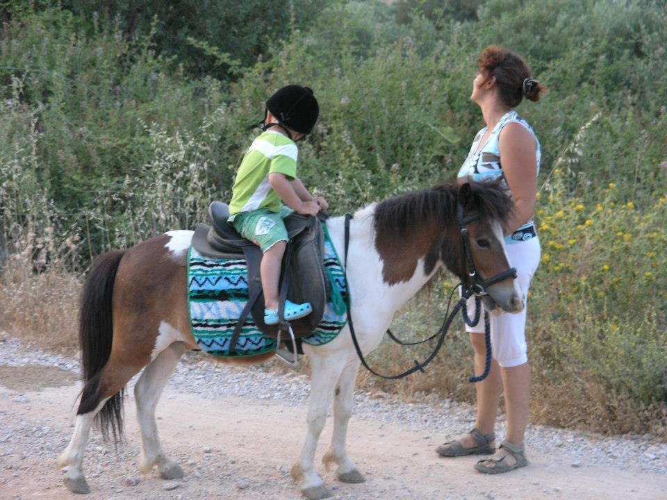 Exploring the Countryside: Guided Horseback Riding Adventure for Children
